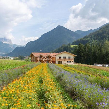 Eco-Green Fiores Agriturismo Vigo di Fassa Kültér fotó