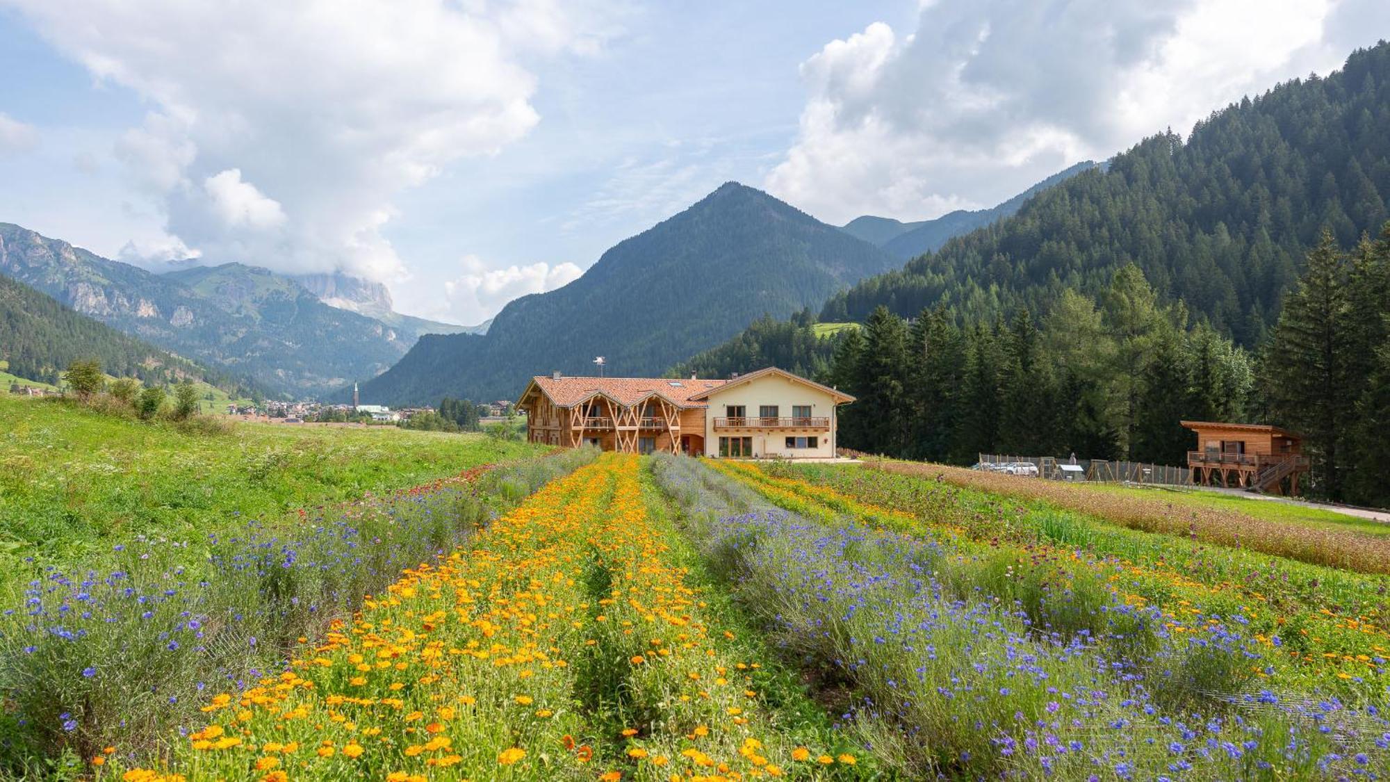Eco-Green Fiores Agriturismo Vigo di Fassa Kültér fotó